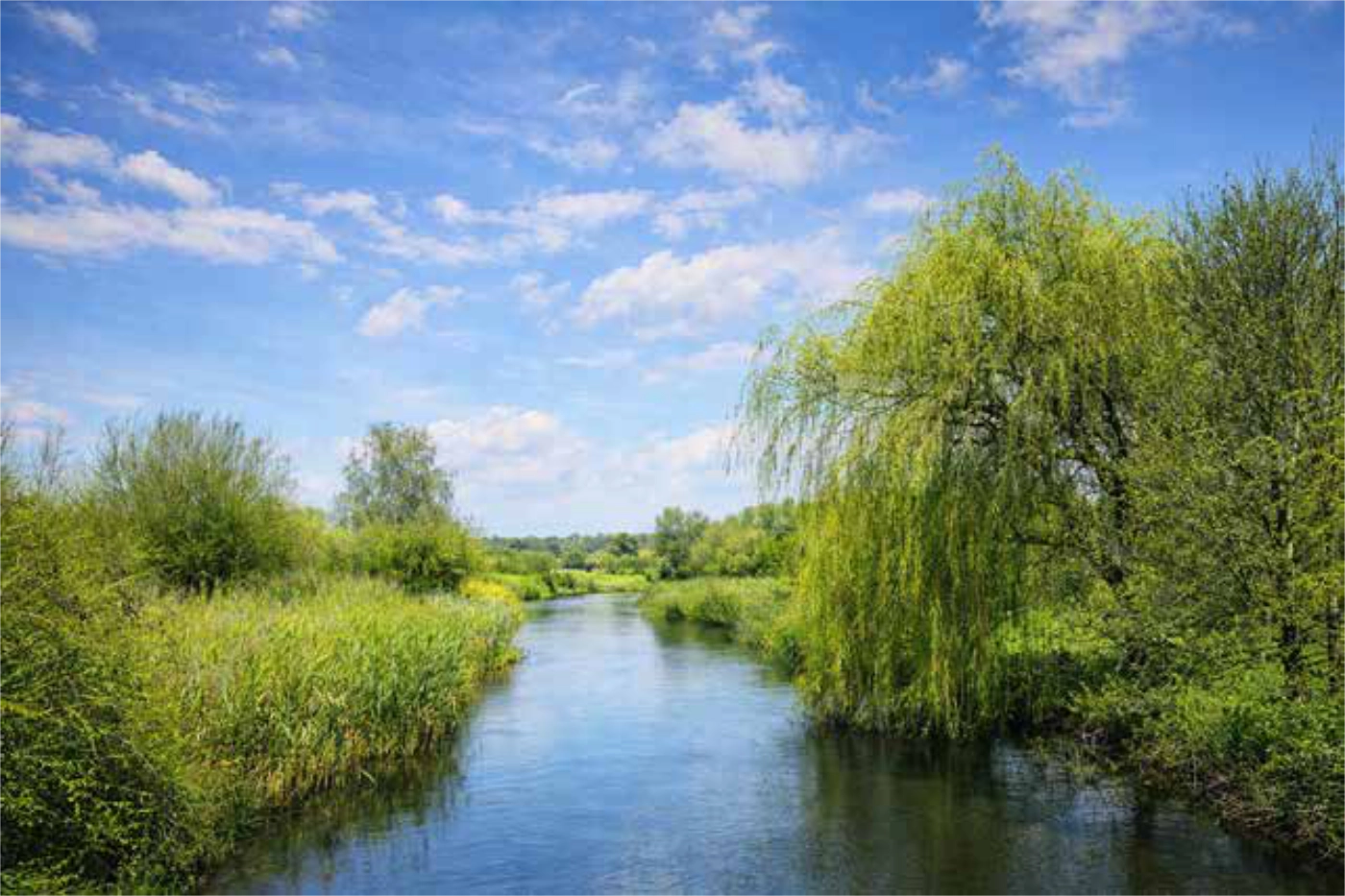 Wonen
waar
de
Dommel
het tempo
bepaalt